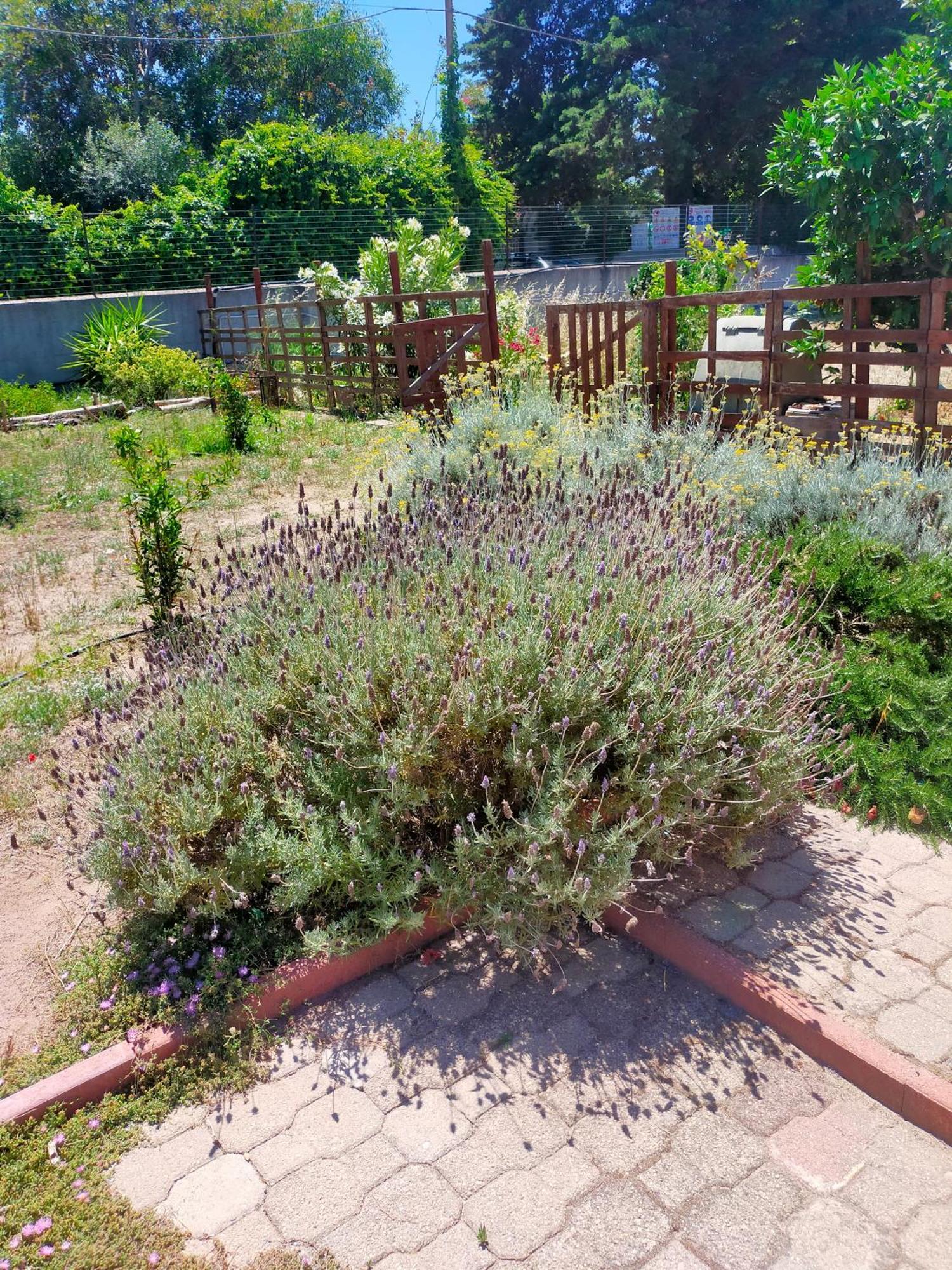 סורסו Casa Marina Lu Tuvaraggiu Casa Vacanze מראה חיצוני תמונה